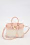 Pink Gold Lock with Detail Clutch Bag