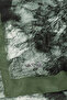 شال عضوي من Green Sketch منقوش - 3