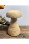 مجسم فطر خشب Wooden Mushroom Model - 2