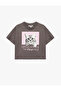 Grey Short Sleeve Crew Neck Cotton Cat Printed T-Shirt - 3