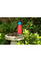 Water Bottle – 300 ml Coral & Sky blue – Keeps Drinks Hot & Cold - 5
