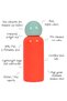 Skittle Water Bottle 500ml Coral & Mint – Insulated Hot & Cold Thermos Bottle - 7