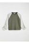 Natuvera Khaki Crew Neck Striped Blouse - 5