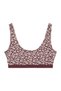 Bustier Essentials - 4