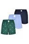 Retro Boxer Christmas - 4