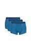 Boxer Everday - 6