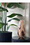 Imported Glass Vase - 2