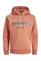 Kapşonlu Sweatshirt - 2