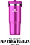 Iceflow Flip Straw Tumbler Thermos Cup with Straw, 0.89 L - 3