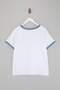 Ecru 100% Cotton Embroidered Contrast Trim Detailed Knitted Plus Size T-Shirt Tbbss26Bf00012 - 6