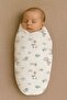 Set of 3 Muslin Blanket and Blanket - 100% Cotton, Oeko-Tex Certified, Boxed - 4