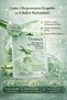 Aloe Vera and Amino Acid Paper Mask 1 Piece – Anti-Blemish and Anti-Sebum - 5