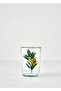 Olive Soft Drink Glass Set of 4 Green (510 cc) - 4