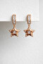 Steel Rose Gold Stone Archie Star Earrings - Does Not Tarnish -