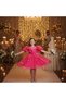 Girls' Evening Dress Balloon Sleeve Pink Organza Fabric Dress - 4