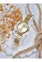 Dke.1.10874 Round Case Minimal Design Women Wrist Watch