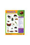 Insects - Wall Chart in English
