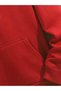 Sweatshirt Hooded Thick Fabric Brt Printed (Unisex) - 3