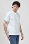 Men's Crew Neck Modal Fabric Striped T-Shirt Blue - 26Y 1005 - 4