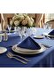 Kristal Monoray Fabric Indigo Tableware Set for 8 People 160X220 cm 17 Pieces. - 1602 - 4