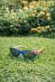 Children's Sunglasses Bow Detail Cat Eye Model 5235 Blue - 3