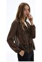 V-Neck Ruffled Sheer Blouse Brown - 2