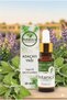 Natural 100% Pure Sage Oil 20 ml - Aromatherapeutic Peace of Mind and Skin-Friendly Pure Essential Oil - 3