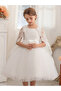 Lace Cape Sleeve Mesh Fit and Flare Dress
