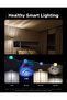 Uplighter Floor Lamp - 4