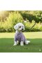 Cat - Dog Ribbed Knit Stretchy Transitional Jacket - Coat - Raincoat - Vest - Clothing - 6