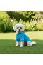Cat - Dog Ribbed Knit Stretchy Transitional Jacket - Coat - Raincoat - Vest - Clothing - 2