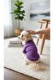 Cat - Dog Ribbed Knit Stretchy Transitional Jacket - Coat - Raincoat - Vest - Clothing - 6