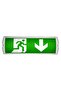 Sg227-E3 Led Emergency Lighting Fixture (down)