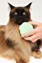 Cat Grooming Brush Green Kedi Bakım Fırçası - 3