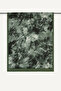 شال عضوي من Green Sketch منقوش - 2