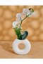 White Orchid In Circle Vase 50x40Cm - 2