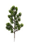 Artificial Plant Needle-Leaf Pine Branch 35 cm Green - 3