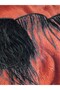 1 Meter of Ostrich Feather Black (Width: 12 cm)