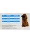 Ronny 60- 2nd Life - Cage for small pets 60.5x40.5x36cm - 3