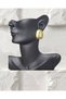Earrings - 2