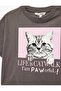 Grey Short Sleeve Crew Neck Cotton Cat Printed T-Shirt - 5