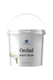 Orchid Body Cream 4KG