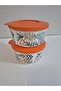 Tropical Deluxe 550 ml 2-Pack Storage Container