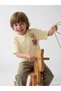 Quality Parts from Çelebi Store Zero Roba Yaka Toy Story Printed Boy's T-Shirt