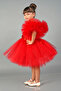 Tulle Party and Birthday Evening Dress - 4