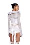 Dolls Kill Elegant Underbust Corset and Shawl - 4
