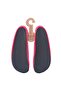 Fuchsia - 2