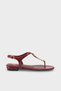 Women's Oval Toe Gold Band Detailed Daily Shoes Sandals Nikkiy Claret Red - 3