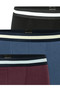 Trunk 955 Multi - 2
