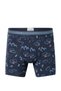Trunk 955 Multi